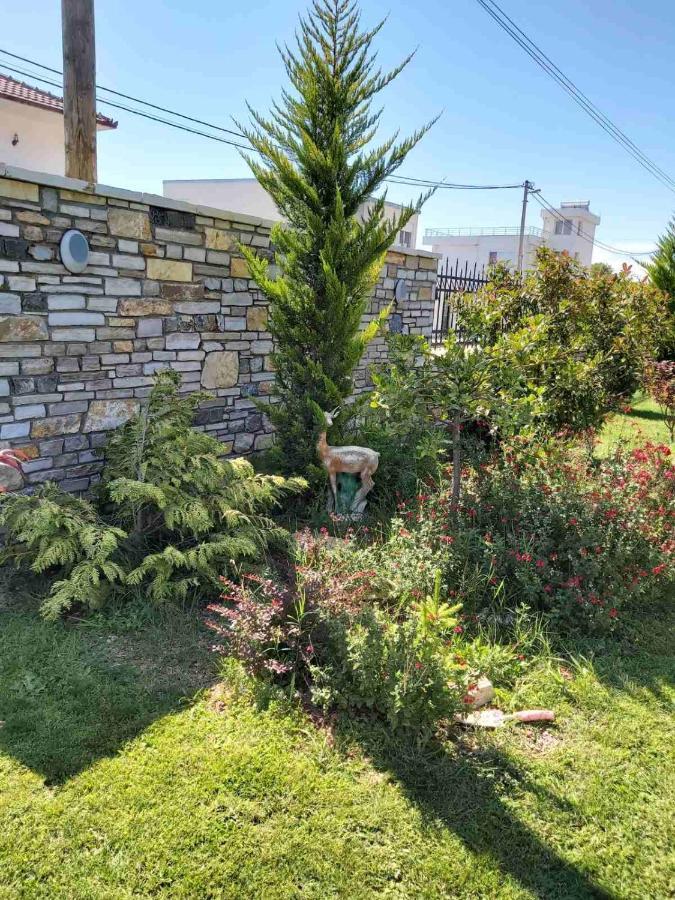 סטאר דויירן Apartments And Villas Janev מראה חיצוני תמונה