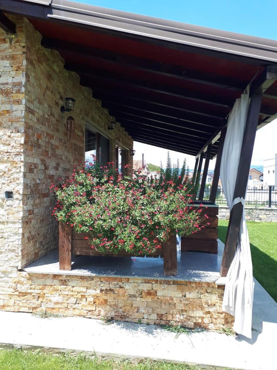 סטאר דויירן Apartments And Villas Janev מראה חיצוני תמונה
