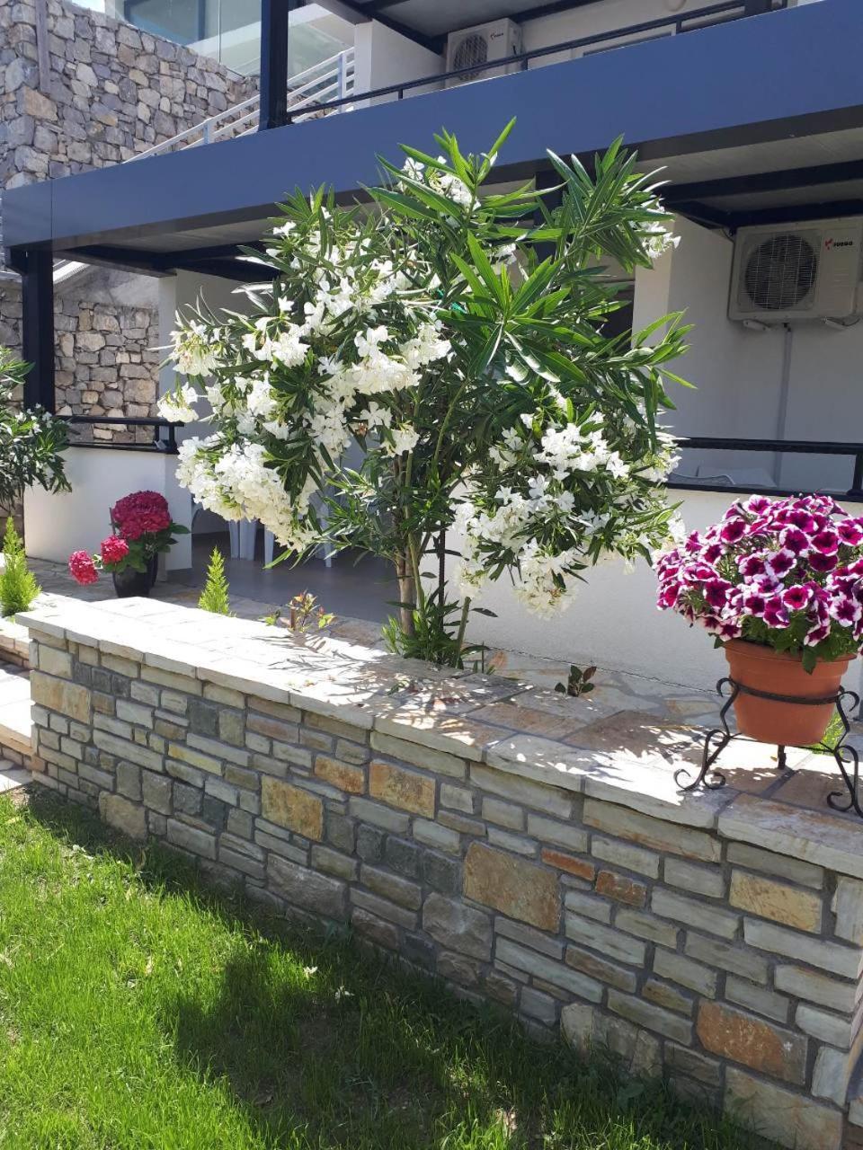 סטאר דויירן Apartments And Villas Janev מראה חיצוני תמונה